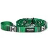Wolfgang High Plains Green Dog Leash