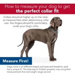 Coastal Natural Control Training Dog Collar -UPCO Popular Shop How To Measure Coastal Pet Collar 52740.1630102181