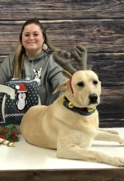 Outward Hound Christmas Reindeer Antler, Collar Combo Large -UPCO Popular Shop IMG 0909 002