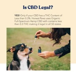 Honest Paws Wellness CBD Oil For Dogs -UPCO Popular Shop INFO 2