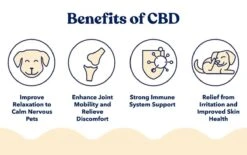 Honest Paws Wellness CBD Oil For Dogs -UPCO Popular Shop INFO 3 1