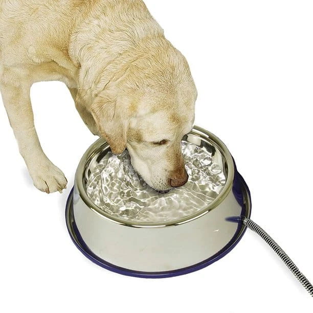 Stainless Steel Heated Pet Bowl 102 Oz 4 Stainless Steel Heated Pet Bowl 102 Oz - Image 2