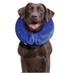KONG® Cloud Collars Plush Inflatable E-Collar For Dogs -UPCO Popular Shop Kong cloud collar 3