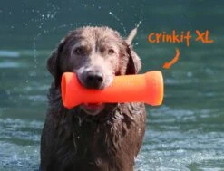 Ruff Dawg Assorted Crinket XL Water Bottle Dog Toy -UPCO Popular Shop LB crinkit 5