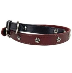 Omni Pet Paw Print Leather Dog Collar 3/4″