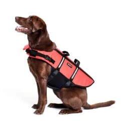 ZippyPaws Life Jacket For Dogs -UPCO Popular Shop Lifejacket 2 002