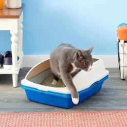 Lift-N-Sift Sifting Cat Litter Pan -UPCO Popular Shop Lift N Sift Cat Litter Pan 2