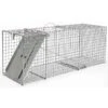 Little Giant® Single Door Live Animal Trap 32″