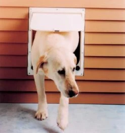 Magnador Dog Doors For Doors & Kennels LARGE -UPCO Popular Shop Magnadoor Large Dog Door INFO