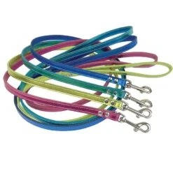 Coastal Metallic Leather Leash 1/2″ X 4′