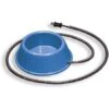 K&H Heated Pet Bowl 1 Quart -UPCO Popular Shop Miller Heated Bowl 1 qt blue