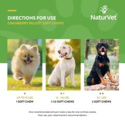NaturVet Cranberry Relief Soft Chews For Dogs 60 Ct -UPCO Popular Shop NaturVet Cranberry Relief Soft Chews INFO2