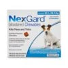 NexGard Chewable Flea & Tick For Dogs 10.1-24 Lbs (3 Pack) -UPCO Popular Shop NexGard 10 24