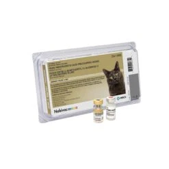 NOBIVAC FELINE 1- HCP Cat Vaccine 25×1 Dose