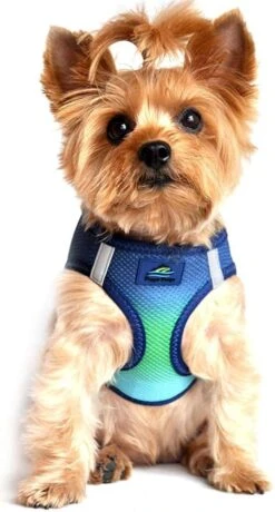 Doggie Design Northern Lights Ombre Dog Harness 3XL -UPCO Popular Shop Northern Lights 1