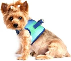 Doggie Design Northern Lights Ombre Dog Harness Medium -UPCO Popular Shop Northern Lights 2 4