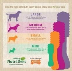 Nutri Dent Filet Mignon Dental Dog Treats Medium 20 Ct -UPCO Popular Shop Nutri Dent Filet Mignon Chews INFO 3