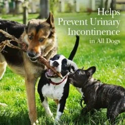 Nutri-Vet Bladder Control Chewable For Dogs 90 Ct -UPCO Popular Shop Nutri Vet Bladder Control Chewables INFO