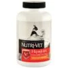 Nutri-Vet Hip & Joint Chewables Regular Strength 120 Ct -UPCO Popular Shop Nutri Vet Hip Joint Regular 120 ct WEB