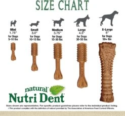 Nutri Dent Filet Mignon Dental Dog Treats Medium 20 Ct -UPCO Popular Shop Nutrident INFO1 1