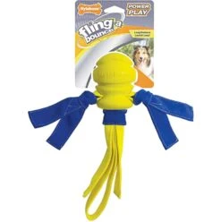 Nylabone Fling-A-Bounce Dog Toy