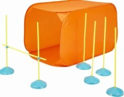 Outward Hound Zip & Zoom Indoor Dog Agility Training Kit