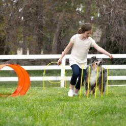 Outward Hound Zip & Zoom Outdoor Dog Agility Training Kit -UPCO Popular Shop OH Outdoor Agility Kit 4
