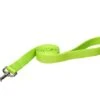 OmniPet Tuff Nylon Dog Leash 1″ X 4′ -UPCO Popular Shop Omni Pet Nylon Leash Lime