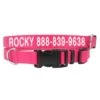 Coastal Personalized Nylon Dog Collar 5/8″ -UPCO Popular Shop Personalized Tough Dog Collar Buckle Snap Pink