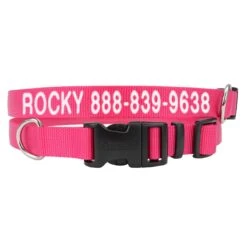 Coastal Personalized Nylon Dog Collar 5/8″