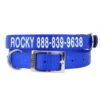 Personalized Coastal Nylon Dog Collar 1″