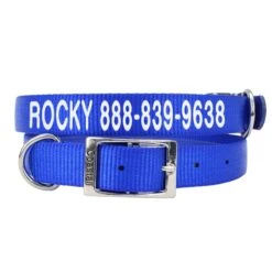Personalized Coastal Nylon Dog Collar 1″