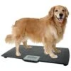Large Digital Pet Scale -UPCO Popular Shop Pet Scale