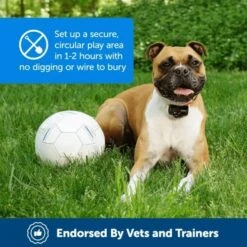 PetSafe Wireless Pet Containment System Wireless Fence -UPCO Popular Shop PetSafe Wireless Pet Con System INFO