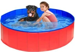 Collapsible Pet Pool