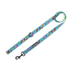 Beast & Buckle Popsicle Print Dog Leash