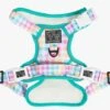 Big & Little Dogs Rainbow Gingham Dog Harness -UPCO Popular Shop RG Harness1
