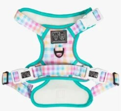 Big & Little Dogs Rainbow Gingham Dog Harness