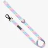 Big & Little Dogs Rainbow Gingham Dog Leash -UPCO Popular Shop RG Leash
