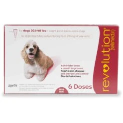 Pfizer Revolution Topical Flea & Heartworm Protection For Dogs 21-40 Lbs (6 Pack)