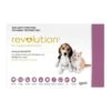 Pfizer Revolution Topical Flea & Heartworm Protection For Puppies & Kittens (3 Pack) -UPCO Popular Shop Revolution Puppy Kitten