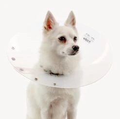 Saf-T-Shield™ E-Collar For Dogs