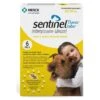 Sentinel® Flavor Tabs® For Dogs 26-50 Lbs 6 Pack