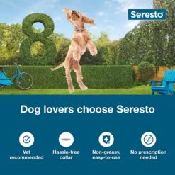 Seresto Flea & Tick Collar For Large Dog 8 Month Protection 9 Seresto Flea & Tick Collar For Large Dog 8 Month Protection -UPCO Popular Shop Seresto INFO 1