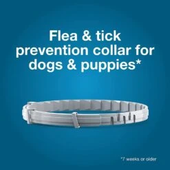 Seresto Flea & Tick Collar For Large Dog 8 Month Protection 8 Seresto Flea & Tick Collar For Large Dog 8 Month Protection -UPCO Popular Shop Seresto INFO2 1