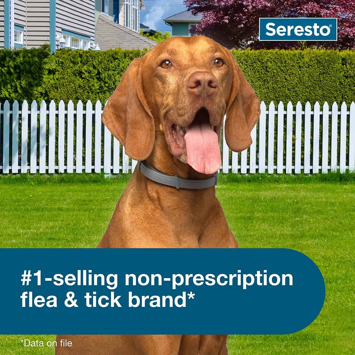 Seresto Flea & Tick Collar For Large Dog 8 Month Protection 4 Seresto Flea & Tick Collar For Large Dog 8 Month Protection - Image 2
