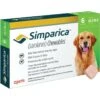 ZOETIS Simparica Chewable Tablets For Dogs 44.1-88 Lbs 6 Pack -UPCO Popular Shop Simparica 44 88 6 Ct WEB