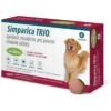 ZOETIS Simparica Trio Chewable Tablets For Dogs 44.1-88 Lbs 6 Pack 1 ZOETIS Simparica Trio Chewable Tablets For Dogs 44.1-88 Lbs 6 Pack -UPCO Popular Shop Simparica Trio 44.1 88 lbs 6 Pk WEB