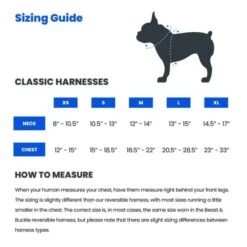 Beast & Buckle Dinosaur Dog Harness 7 Beast & Buckle Dinosaur Dog Harness -UPCO Popular Shop Size Guide 1
