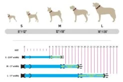 WOLFGANG DayDream Dog Collar -UPCO Popular Shop Sizing Chart Graphic 2